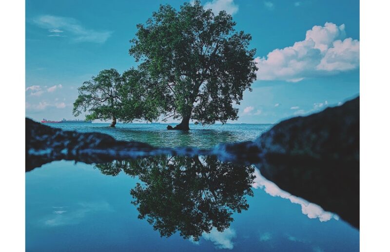 As Above So Below Meaning, What This Cryptic Saying Actually Is About