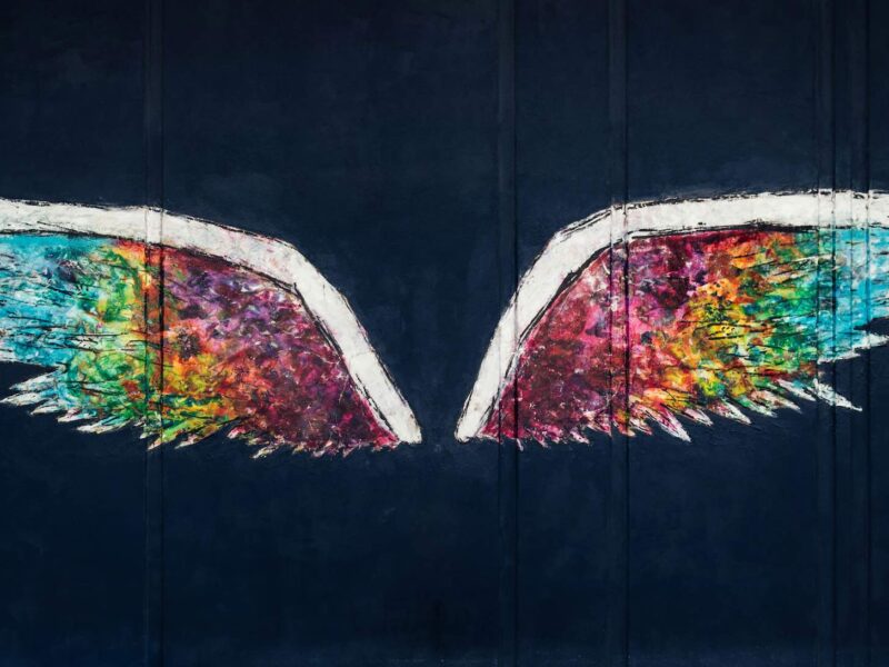 What is the Meaning Behind the Phoenix Symbol: Rise From the Ashes